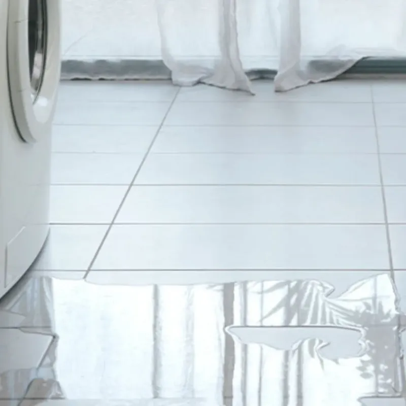 Appliance Leak Cleanup in Hale County, TX