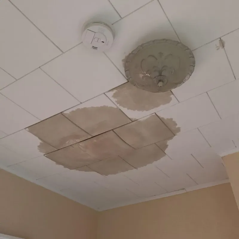 Ceiling Water Damage Repair in Hale County, TX