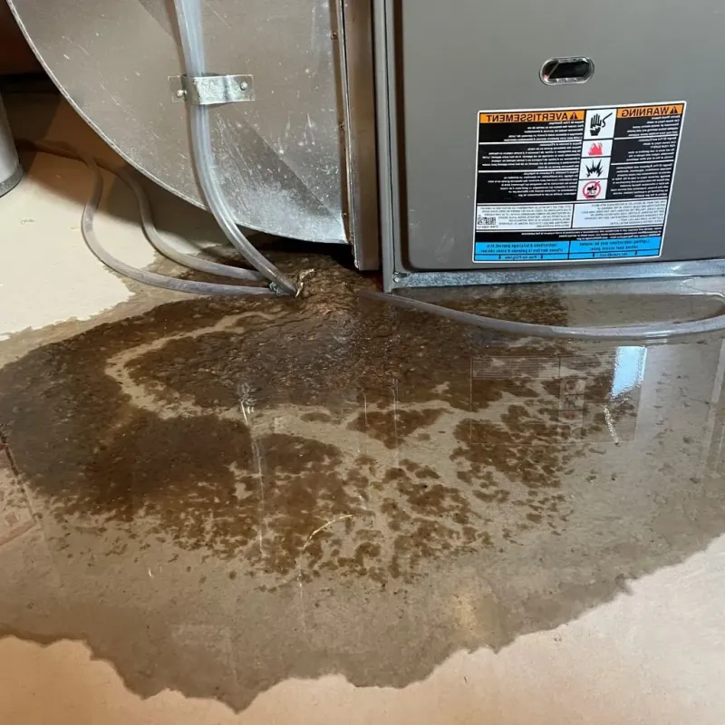 Pipe Burst and Leak Restoration in Hale County, TX