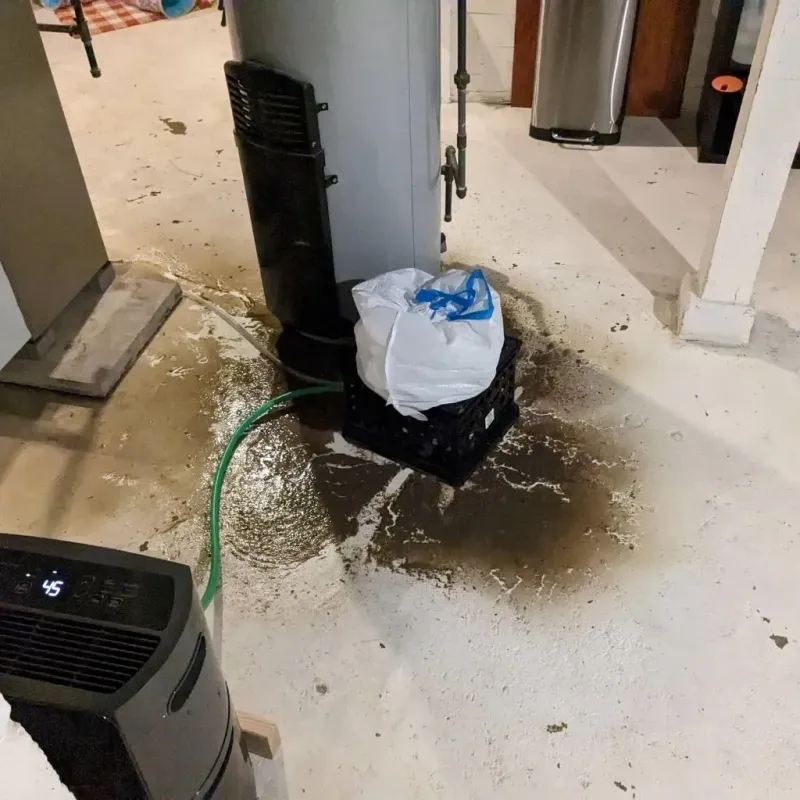 Sewage Backup Cleanup Service in Hale County, TX